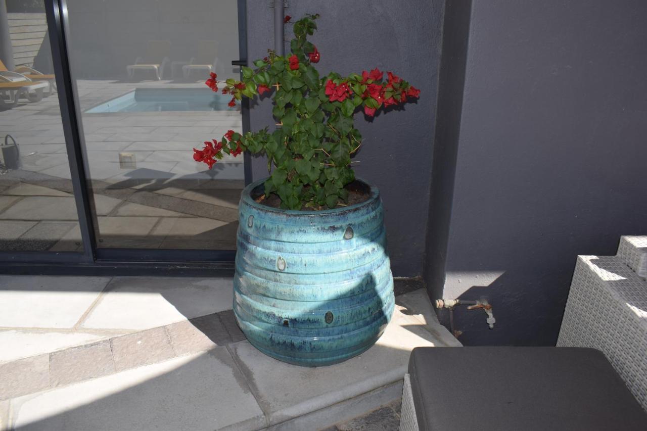Capetown 4U Guesthouse Bloubergstrand Exteriér fotografie